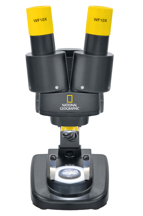LEV-69365_2.jpg