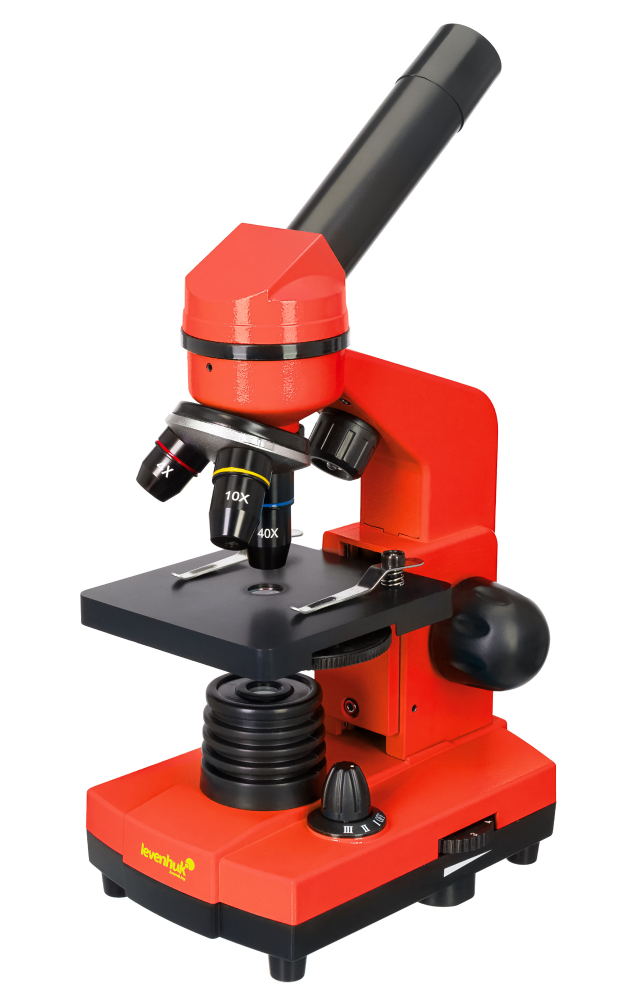 LEV-70229_1.jpg