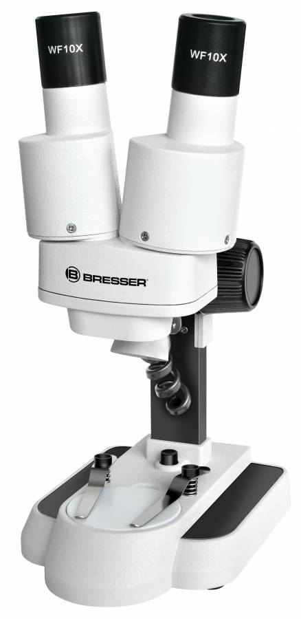 LEV-70330.jpg