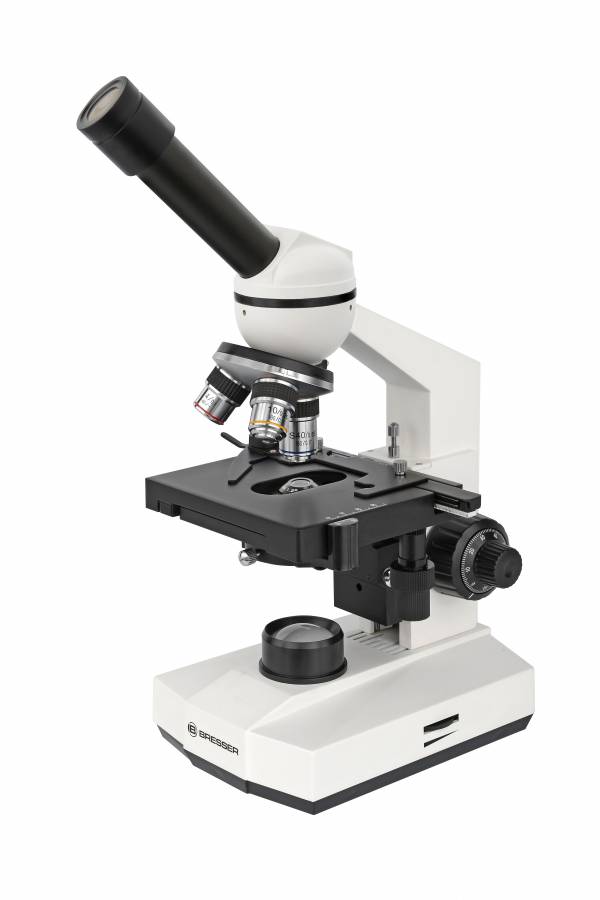 LEV-70333.jpg