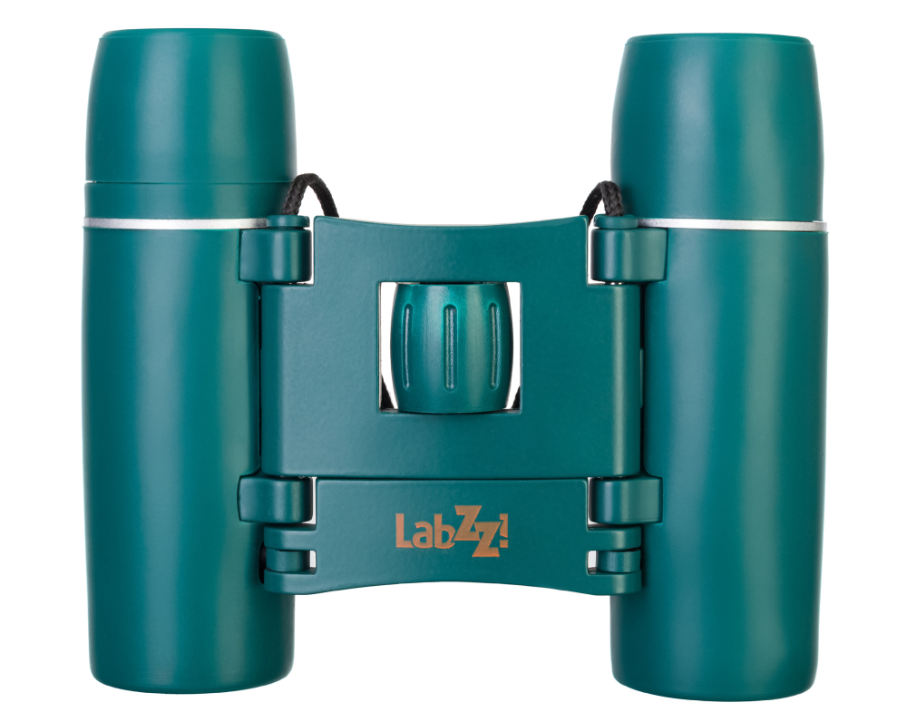 LEV-79665_4.jpg