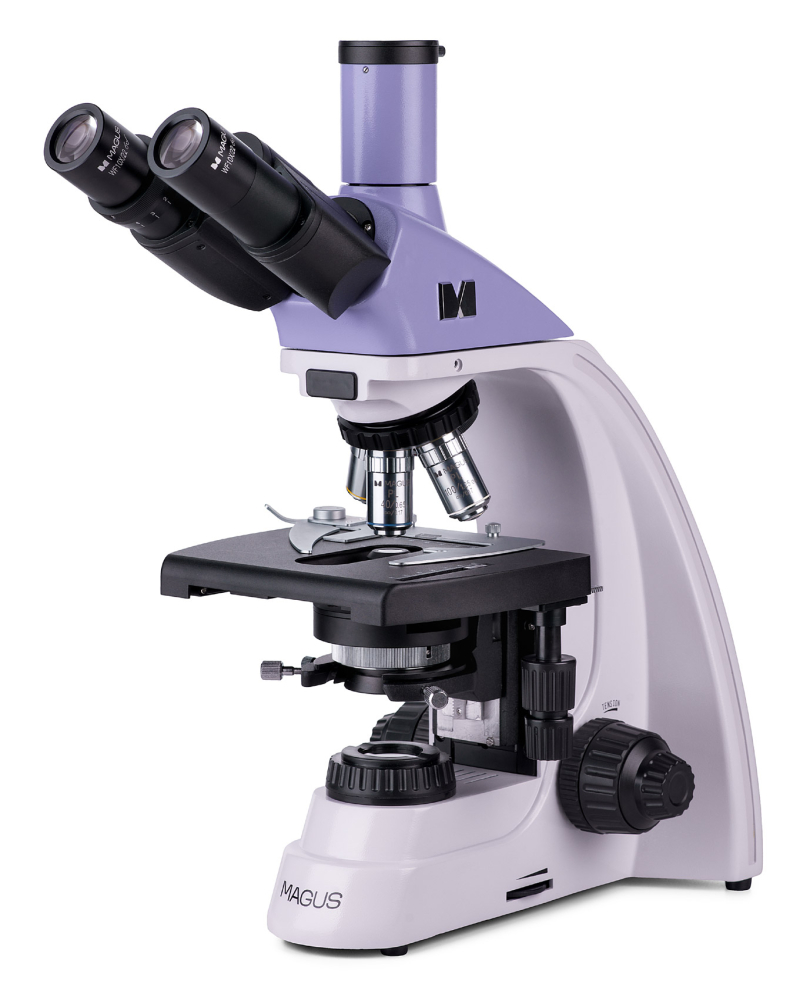 LEV-82890_1.jpg