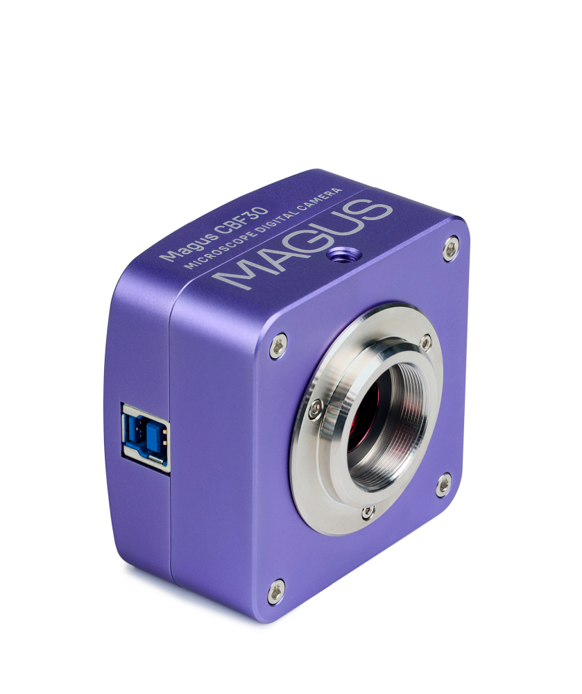 LEV-83204_1.jpg