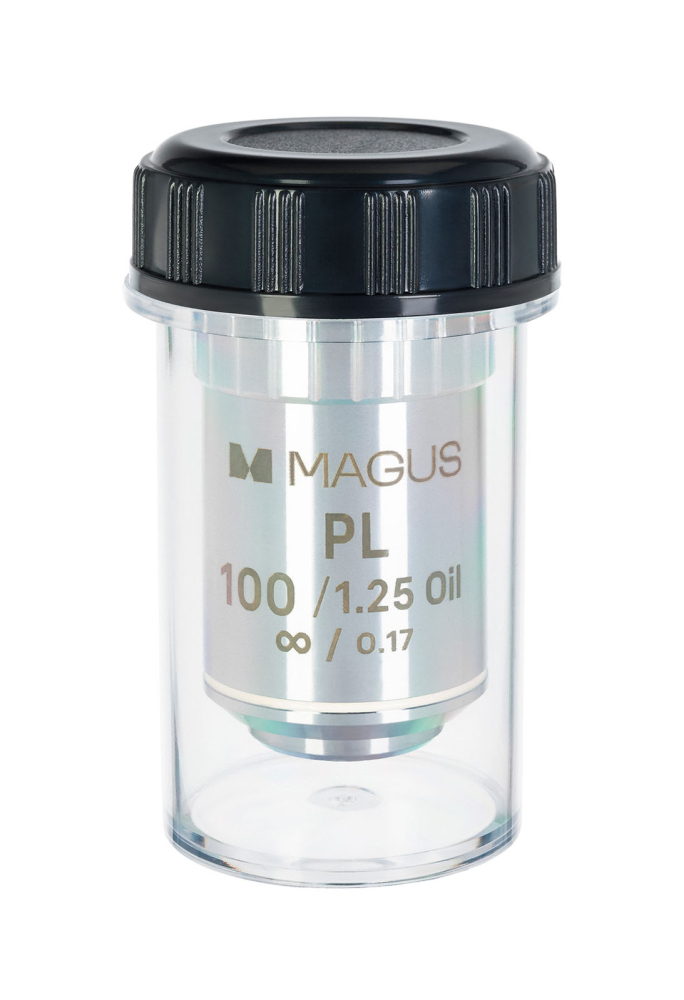 LEV-83451_2.jpg