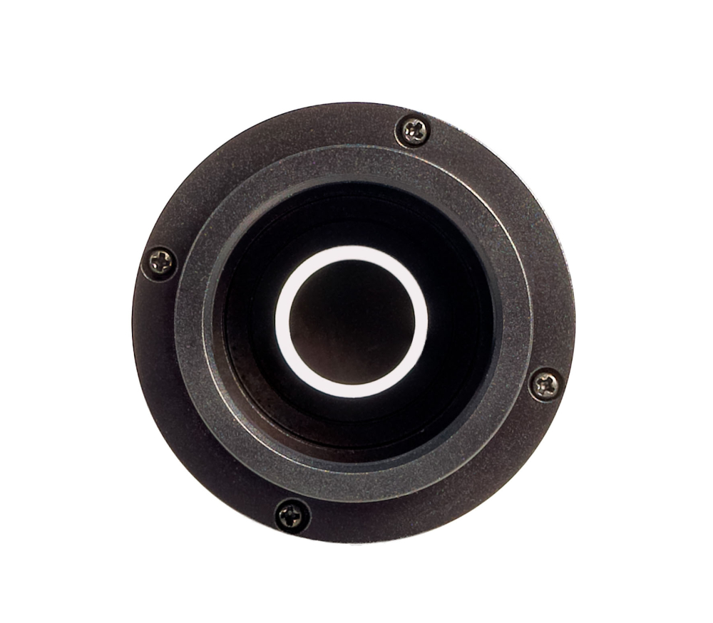LEV-85097_2.jpg