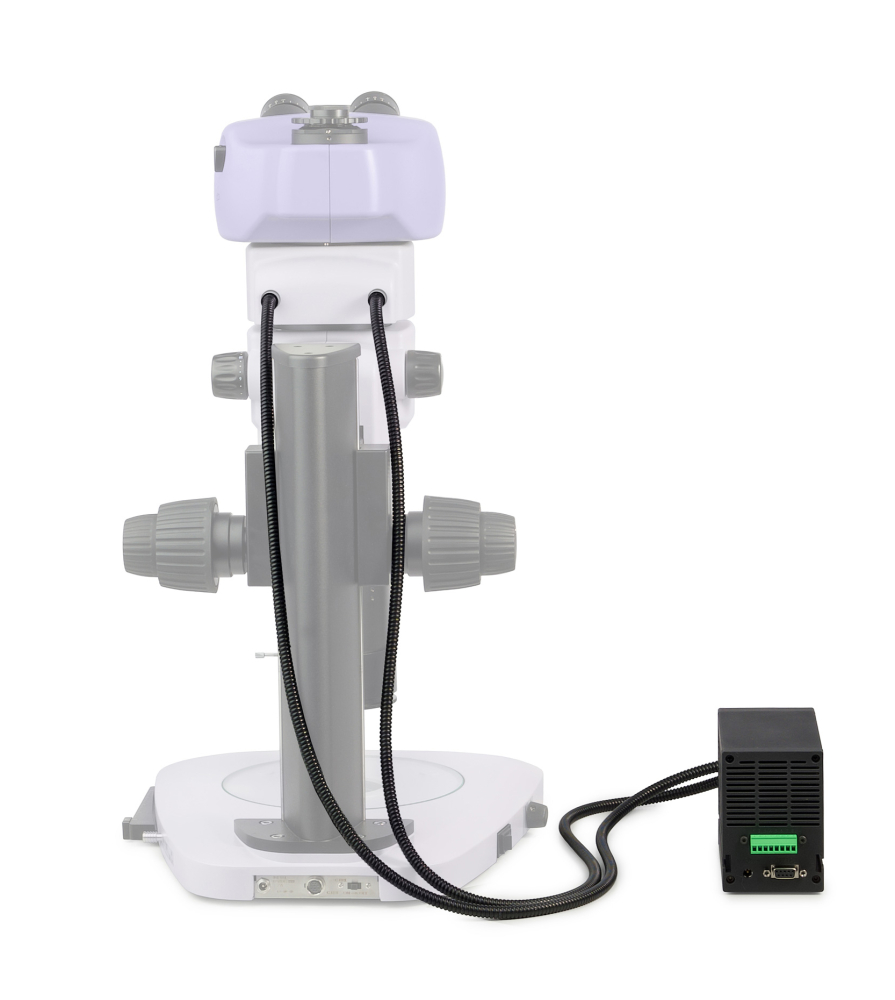LEV-85127_5.jpg