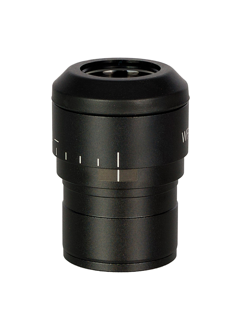LEV-85131_3.jpg
