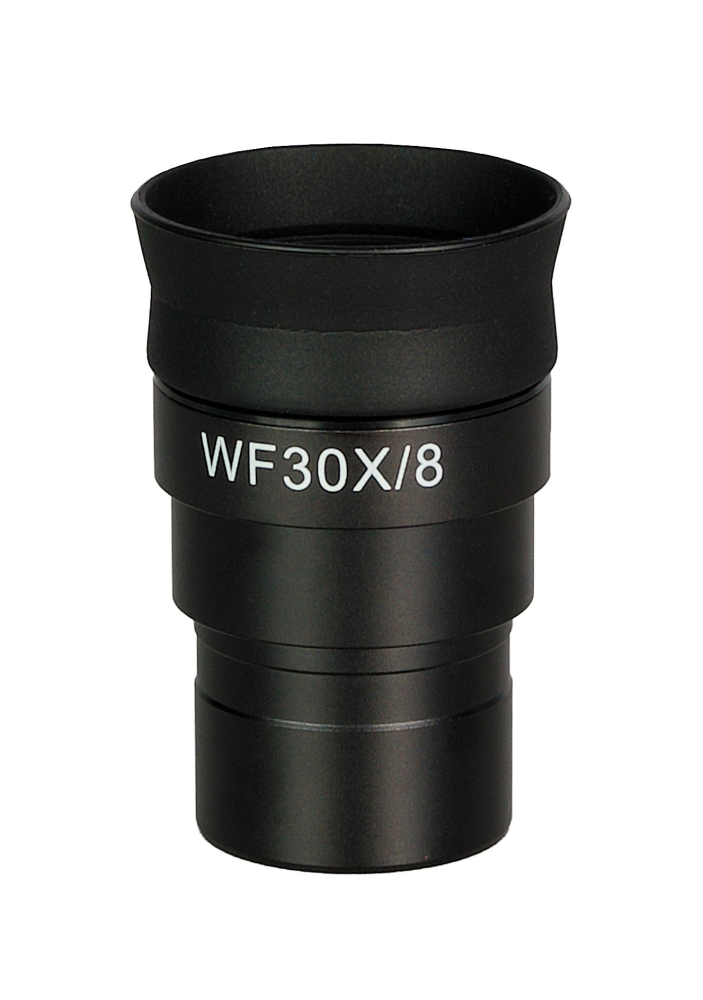 LEV-85132_2.jpg
