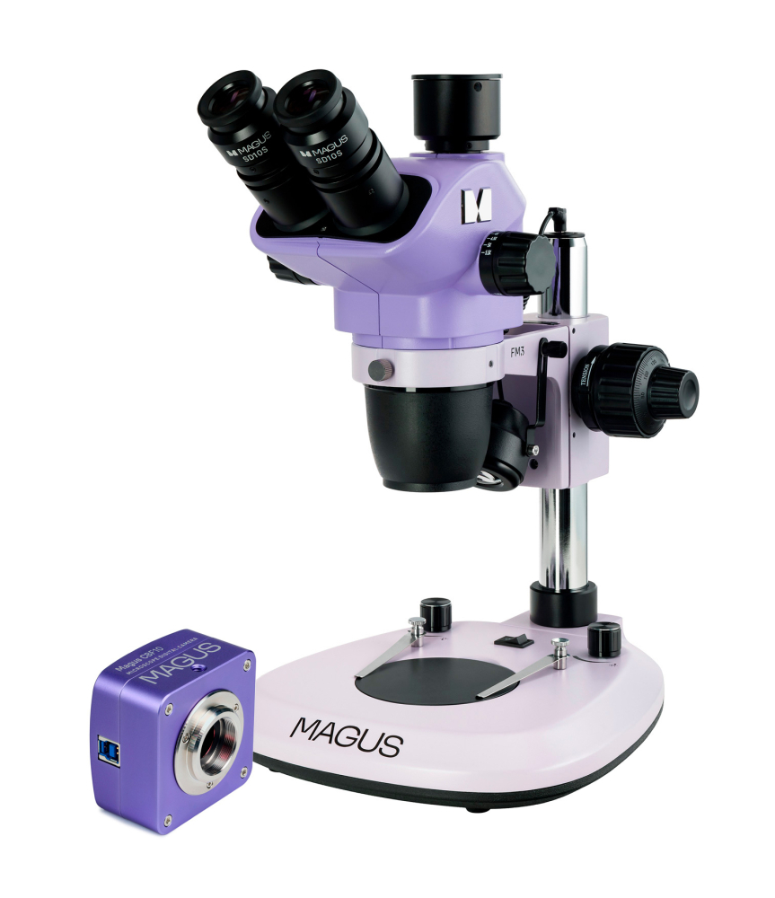 LEV-85281_1.jpg