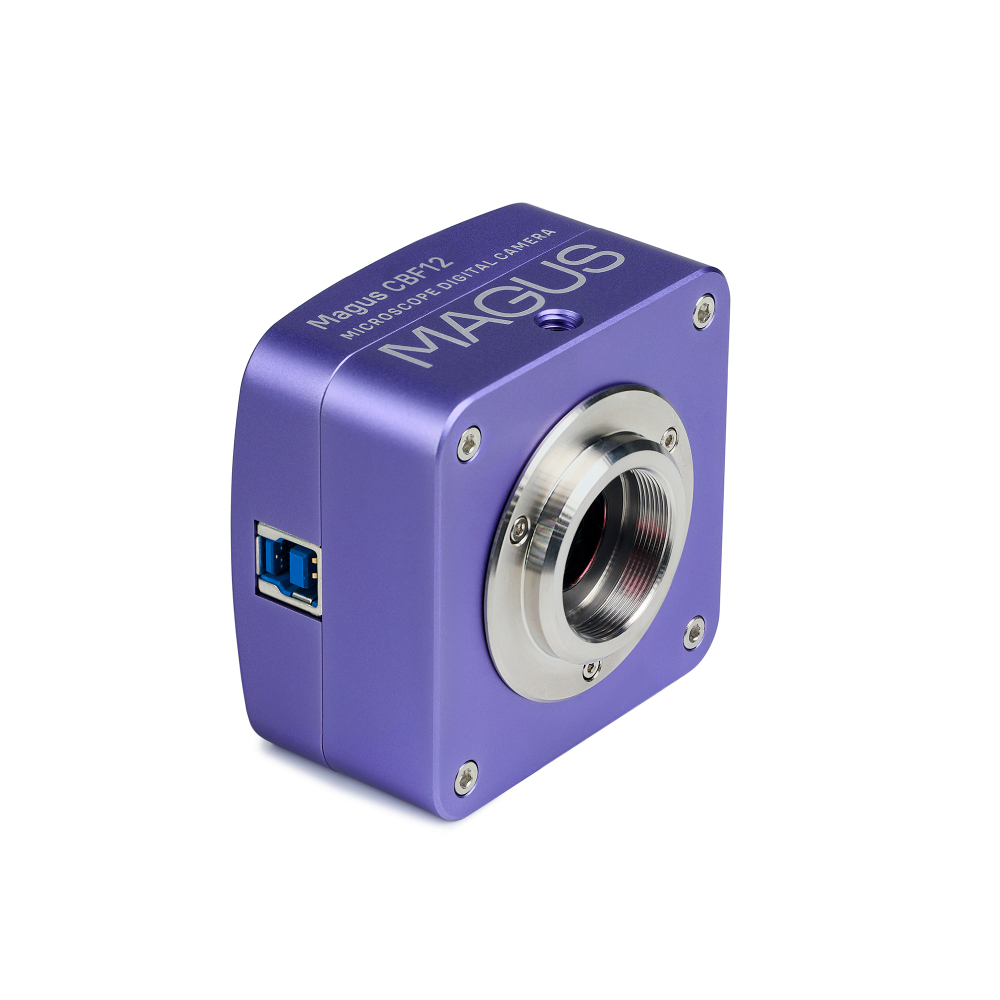 LEV-85929_1.jpg