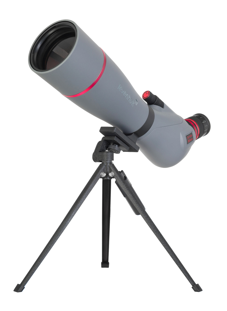 LEV-85933_1.jpg